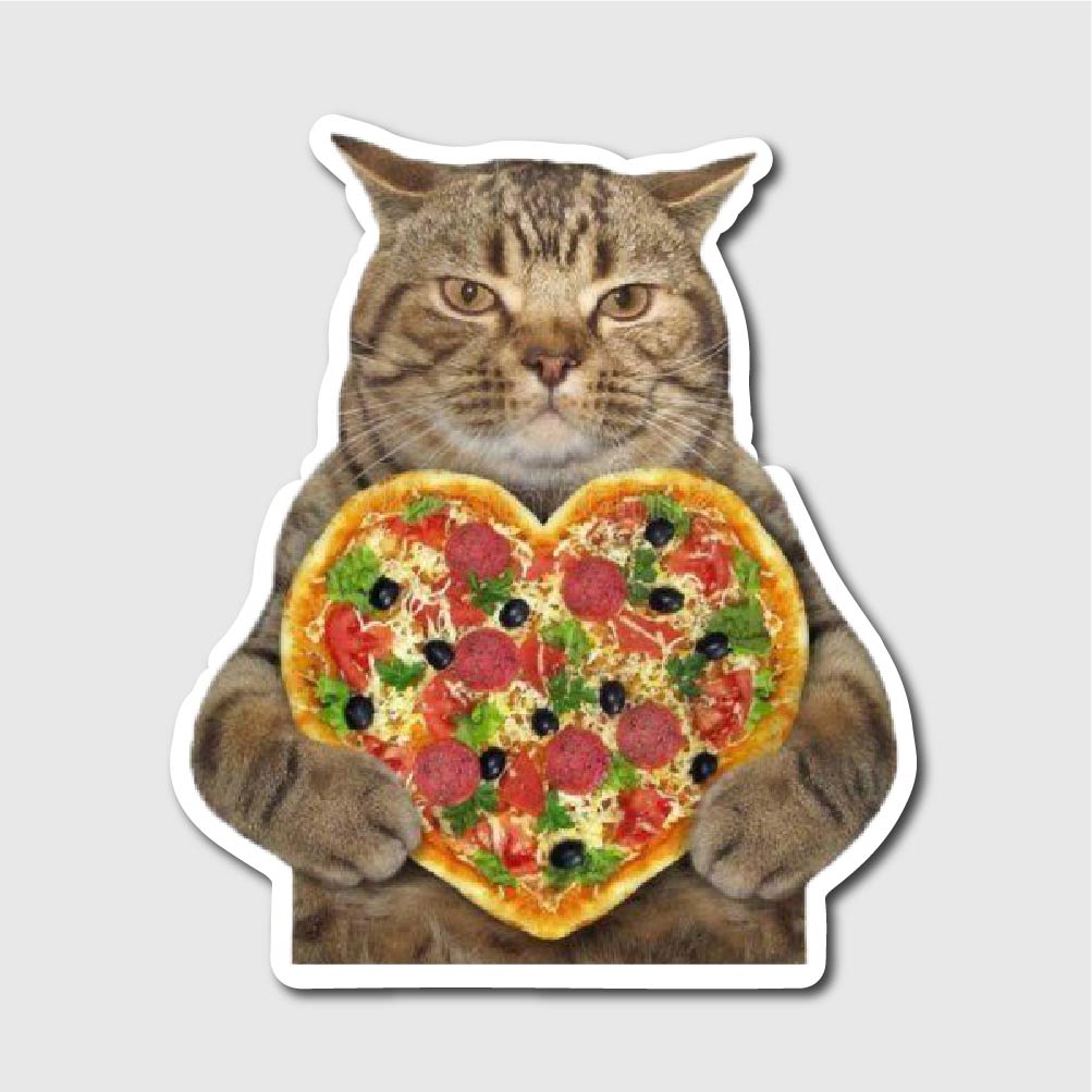 Pizza Cat Sticker