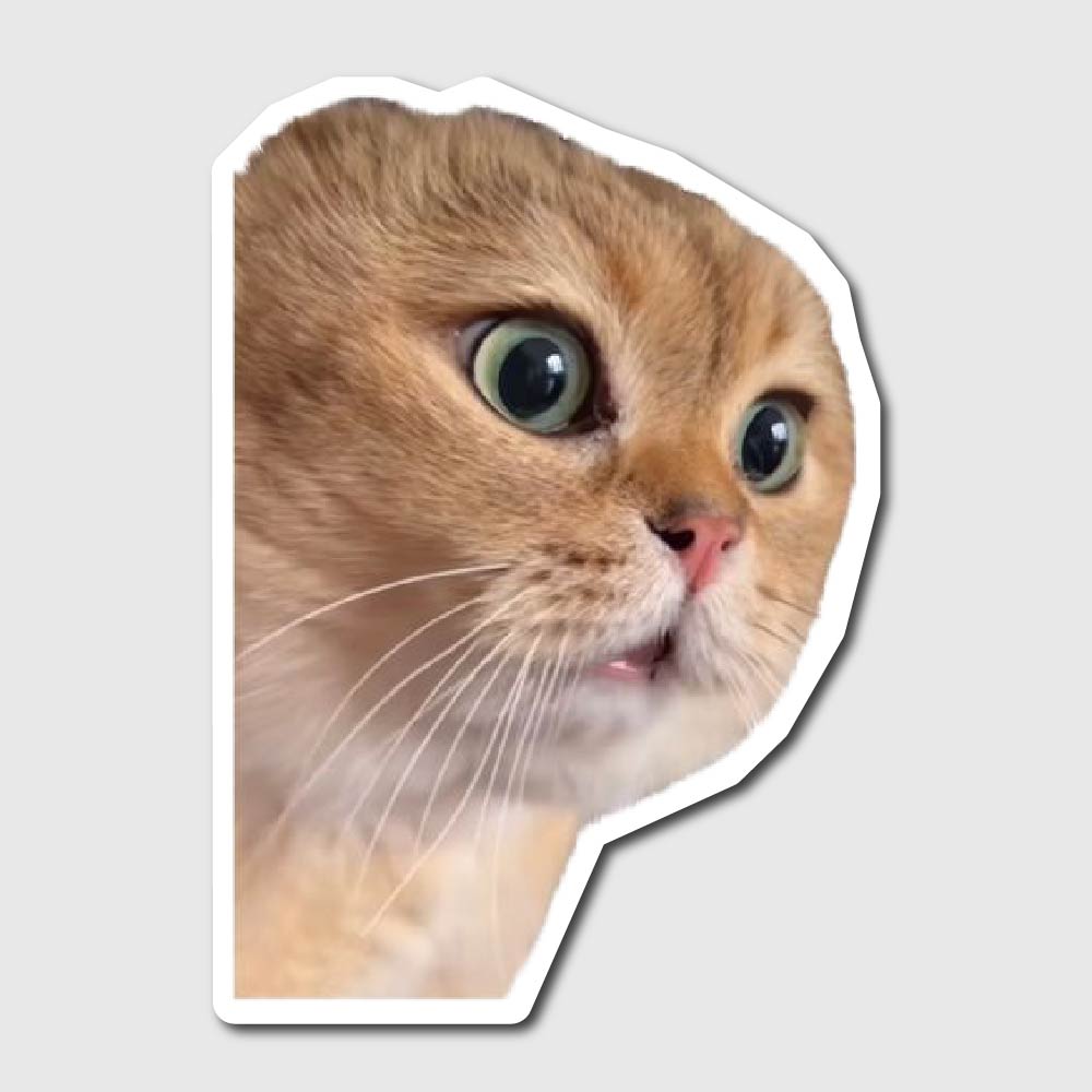 Meow Meow Cat Sticker