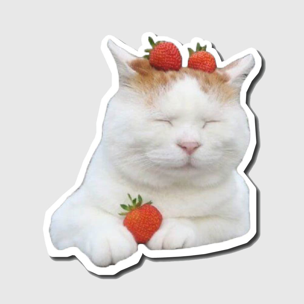 Strawberry Cat Sticker
