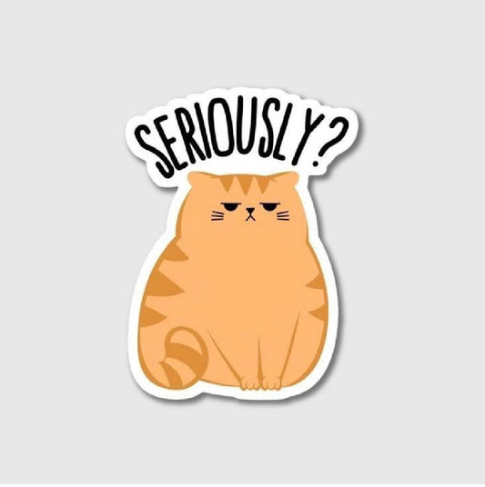 Seriously? Sticker