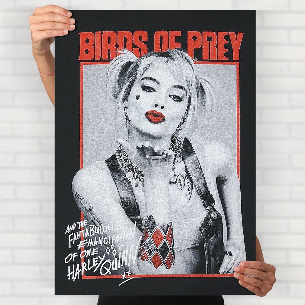 Birds Of Prey Poster