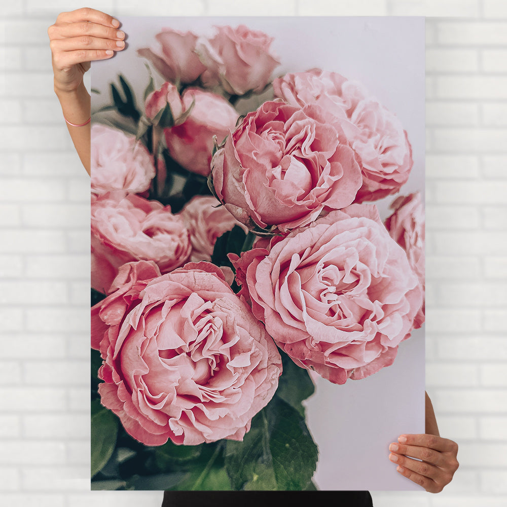 Pink Garden Roses Poster