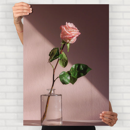 Pink Rose Poster
