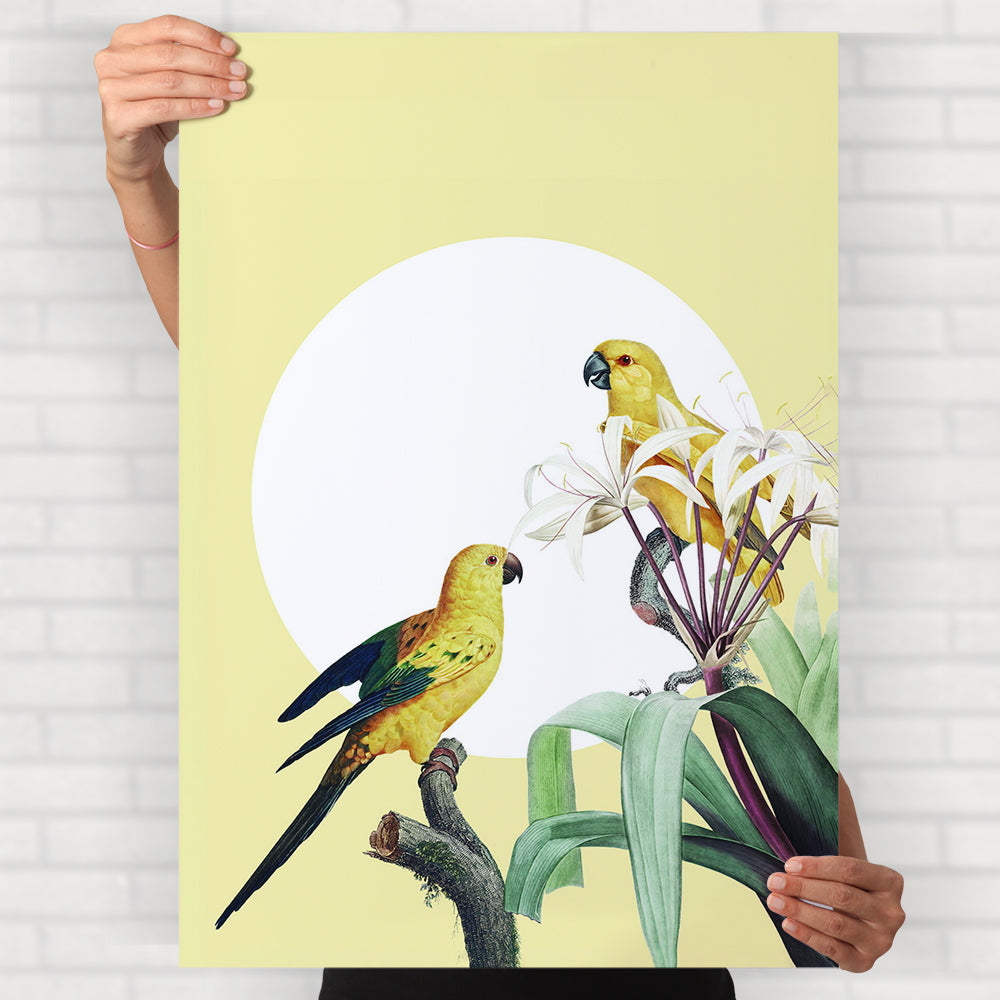 Parrots Poster