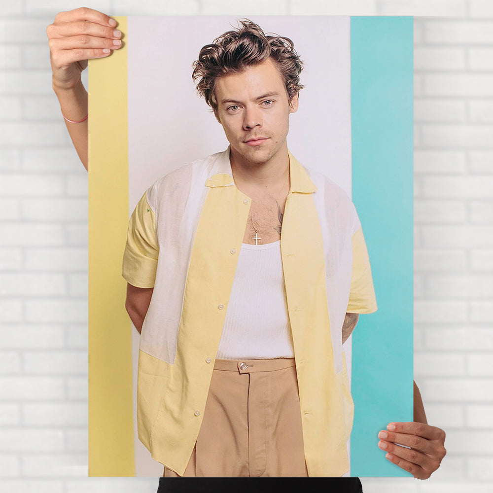 Harry Styles Poster