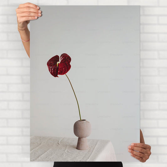 Anthurium Flower Poster - Posters
