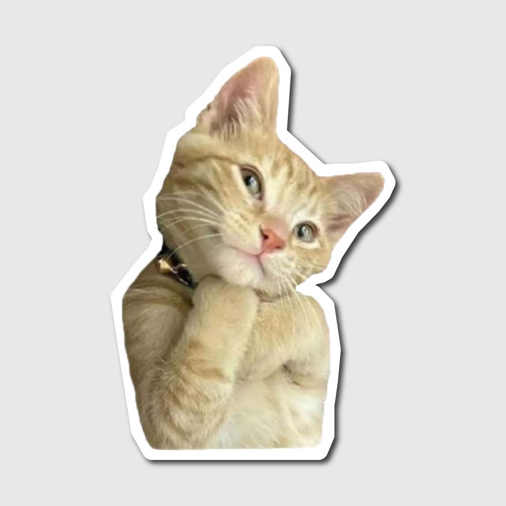 Cute Cat Sticker
