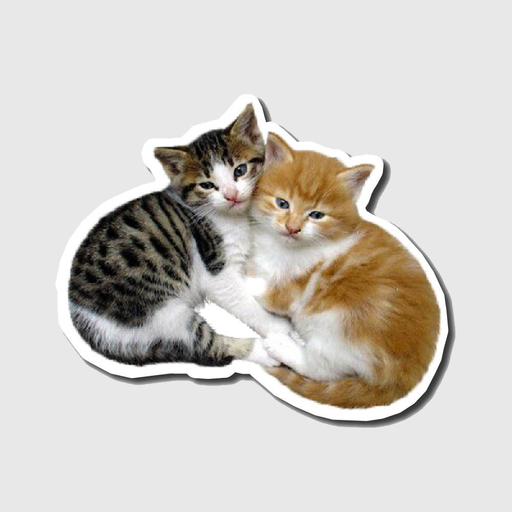 Couple Cat Sticker