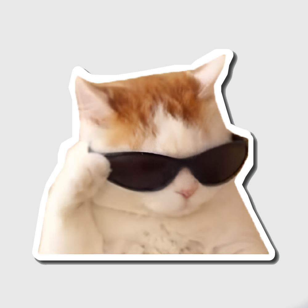 Cool Cat Sticker