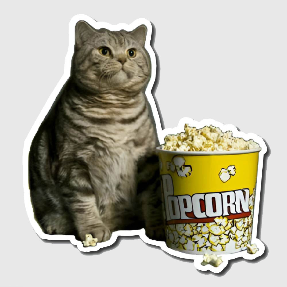Popcorn Cat Sticker