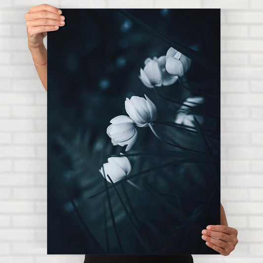 Elegant White Flower Poster - Posters