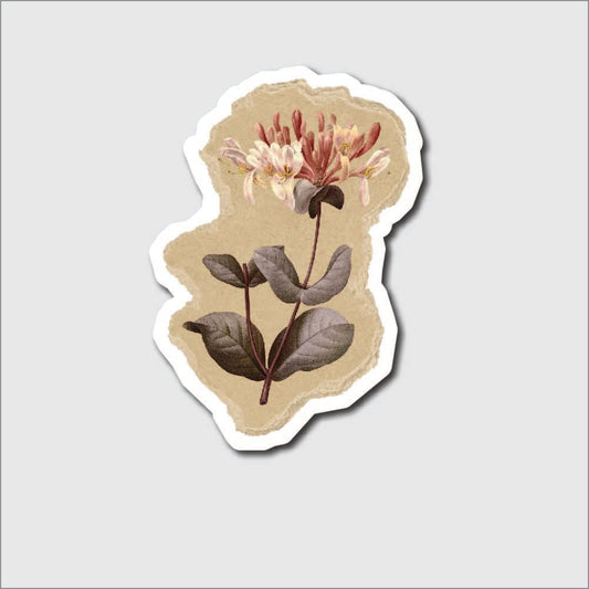 Honeysuckle Flower Sticker - sticker