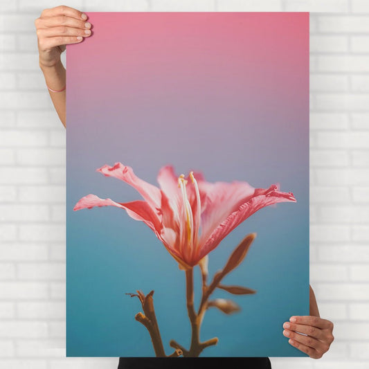 Lily Flower Poster - Posters
