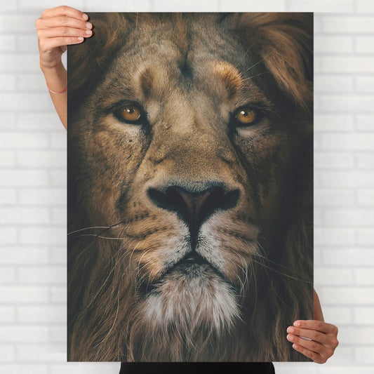 Lion Close-Up Poster - Posters