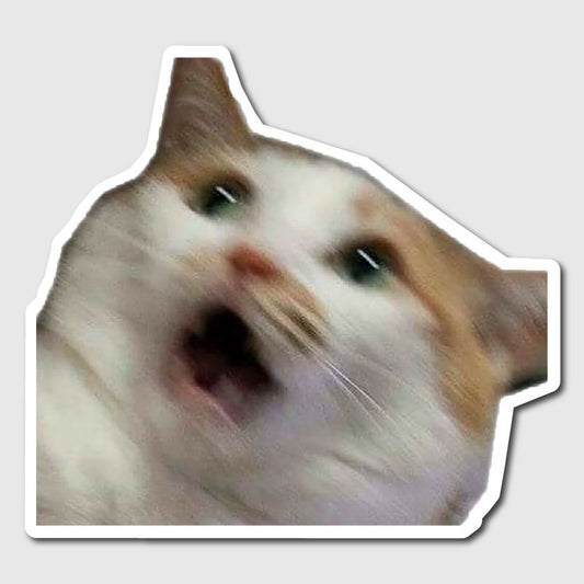 Shocked Cat Sticker - sticker