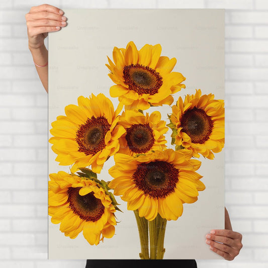 Sunflower Poster - Posters