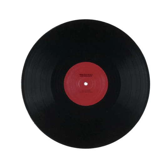 Vnyli Disk Sticker - sticker